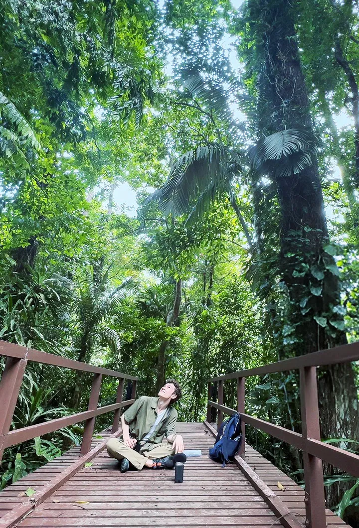 Stay in a rainforest canopy lodge